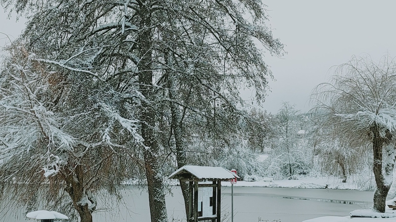 Photo of Outdoor in Poule-les-Echarmeaux