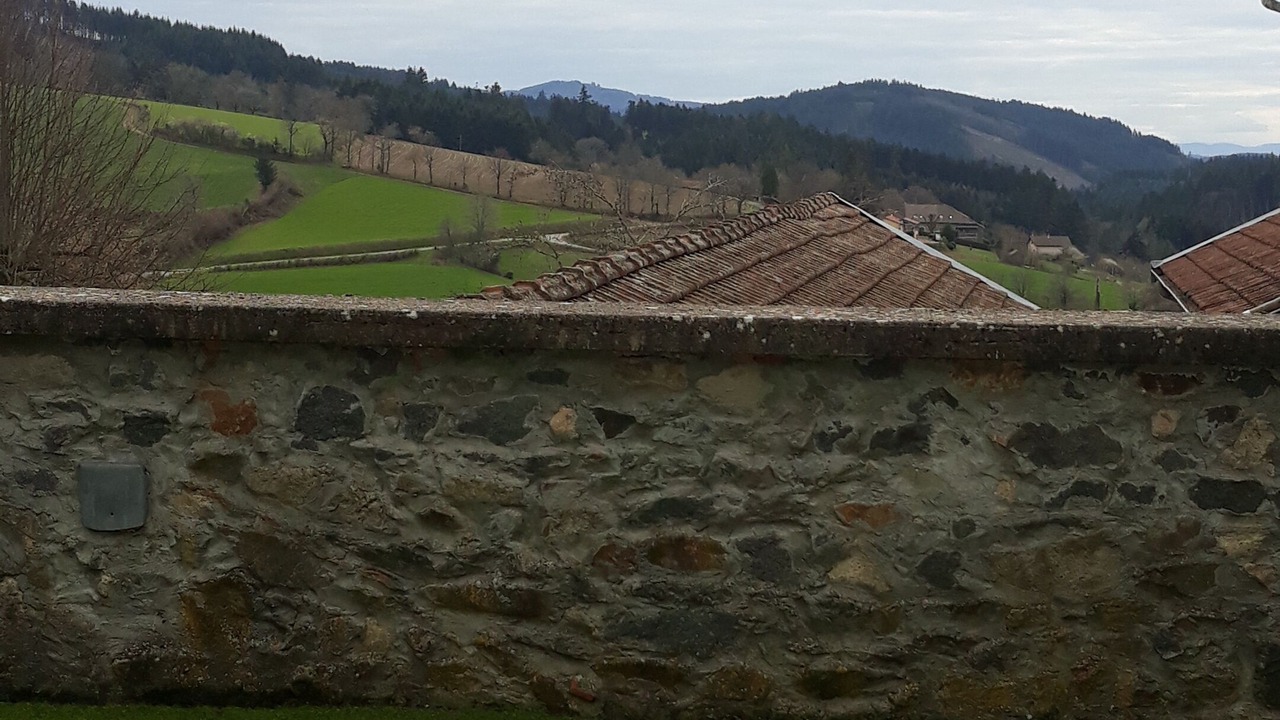 Photo of Others in Poule-les-Echarmeaux