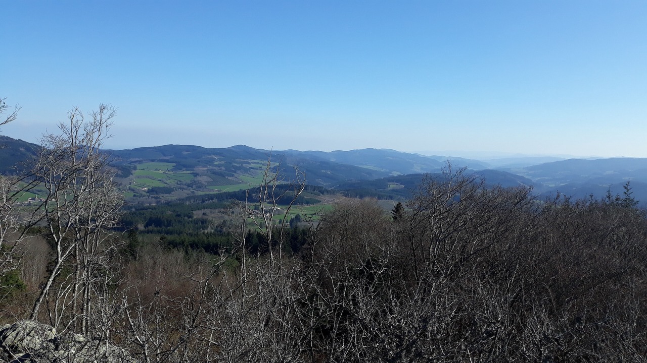 Photo of Others in Poule-les-Echarmeaux
