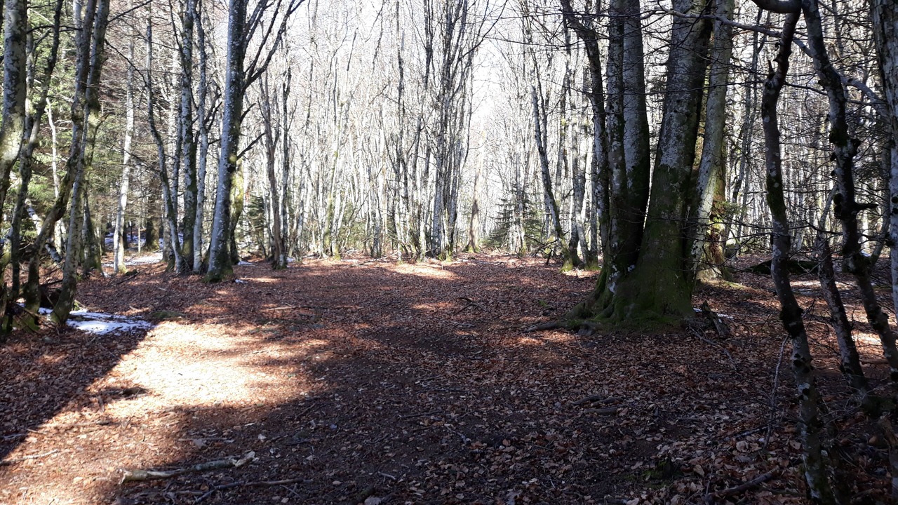 Photo of Outdoor in Poule-les-Echarmeaux