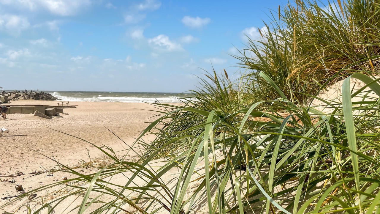 Photo of Others in Nørre Fjand