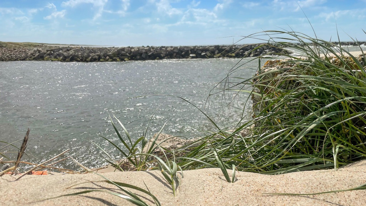 Photo of Others in Nørre Fjand