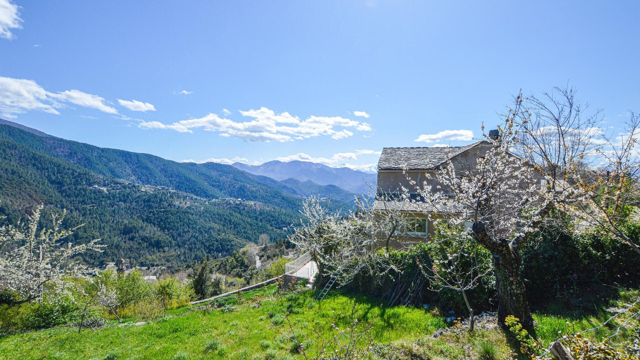 Photo of Bedroom in Morosaglia