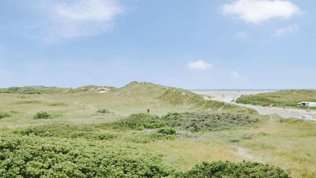 Photo of Others in Lakolk