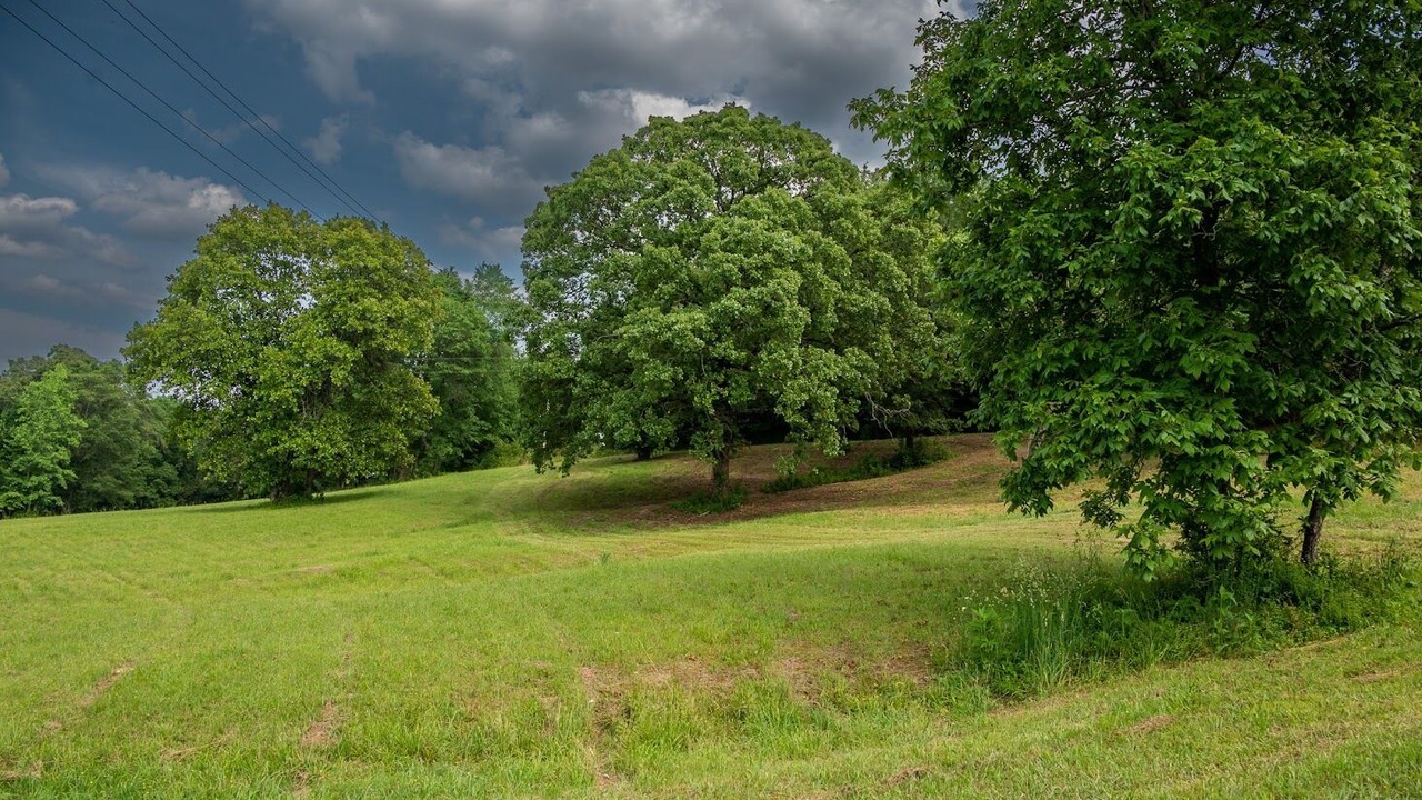 Photo of Outdoor in Hatfield