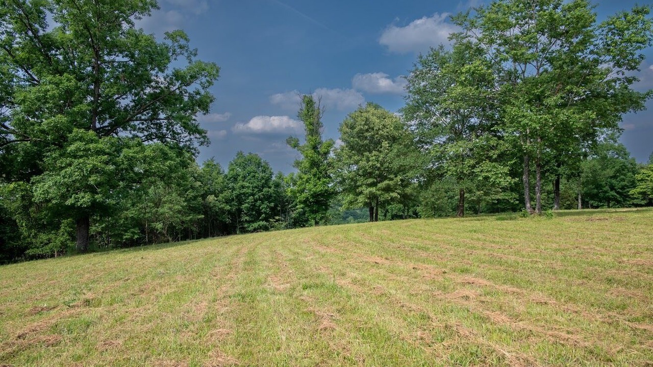 Photo of Outdoor in Hatfield