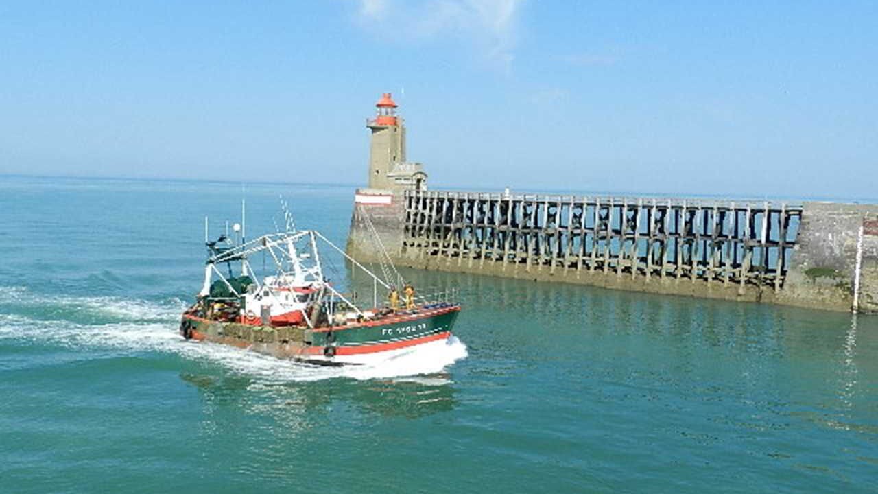 Photo of Others in Fecamp