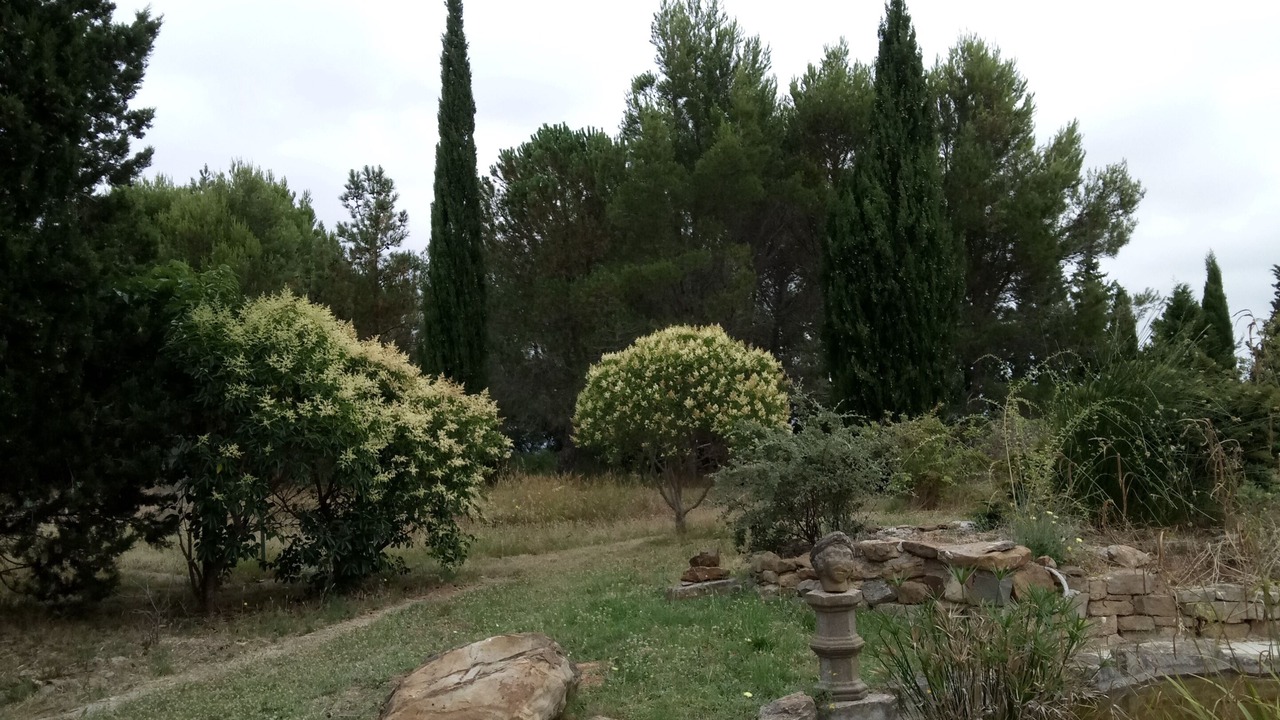 Photo of Outdoor in Boutenac