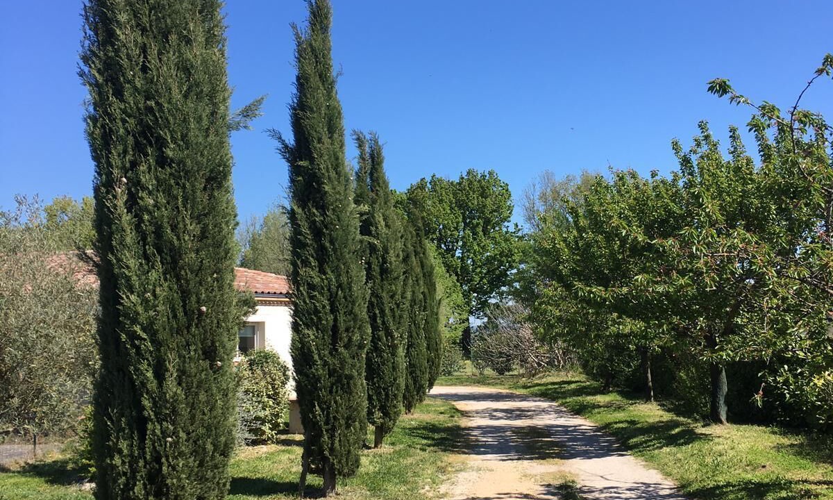 Photo of Outdoor in Montans