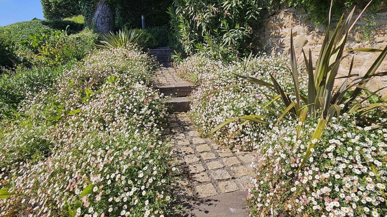 Photo of Outdoor in Vienne