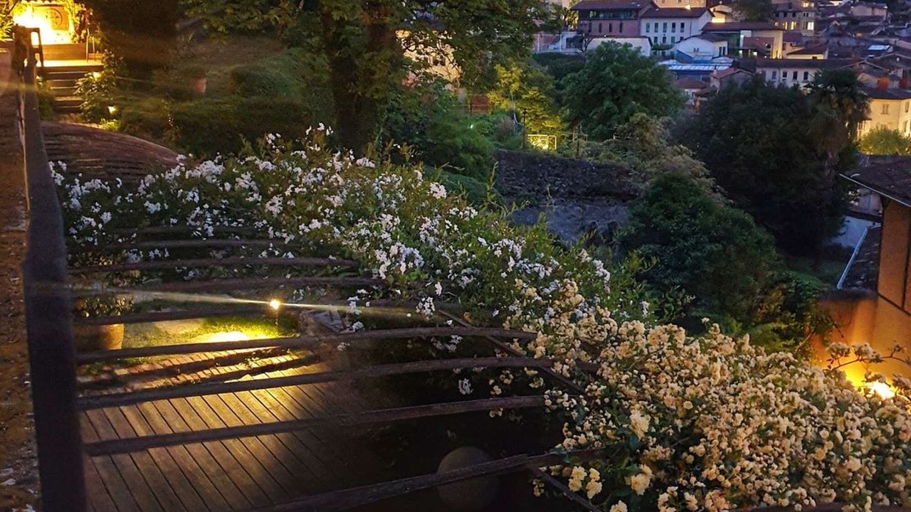 Photo of Others in Vienne