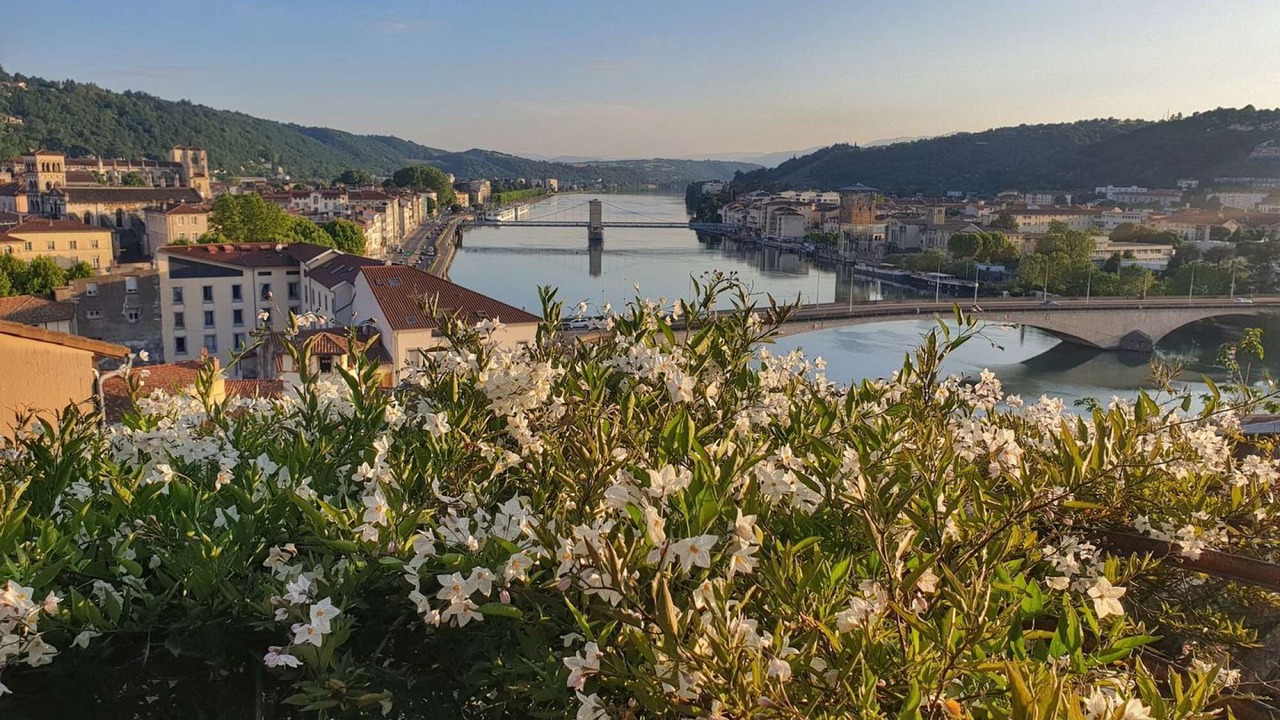 Photo of Others in Vienne