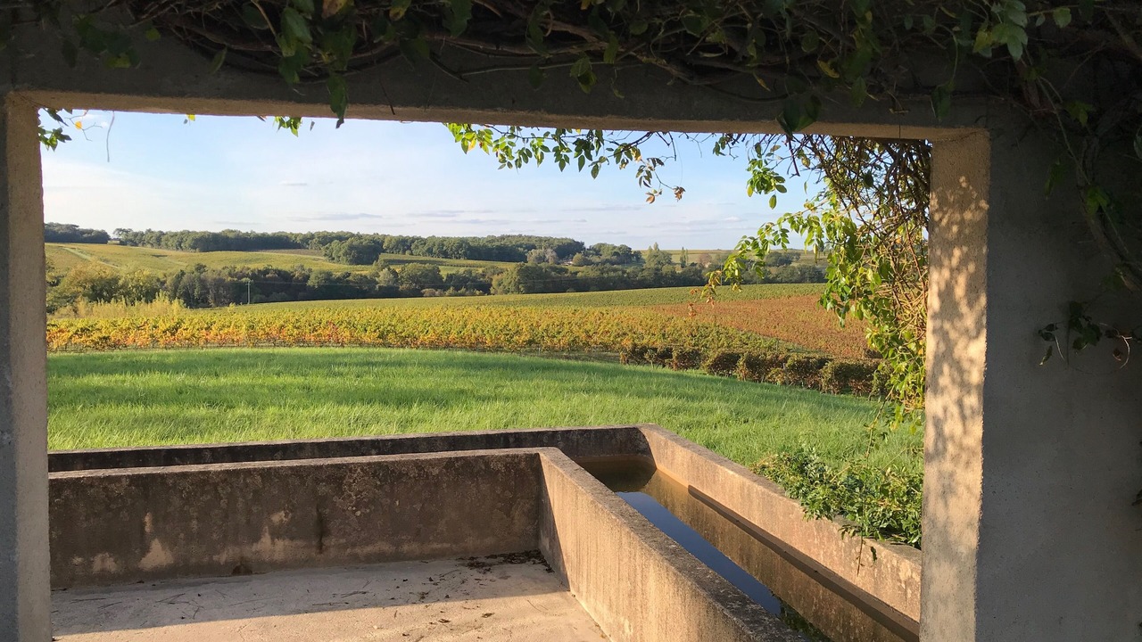 Photo of Outdoor in Pellegrue