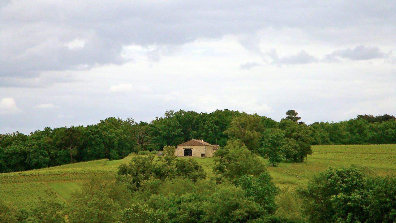Photo of Outdoor in Pellegrue