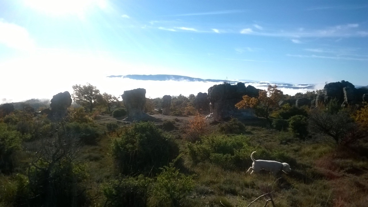 Photo of Outdoor in Mane