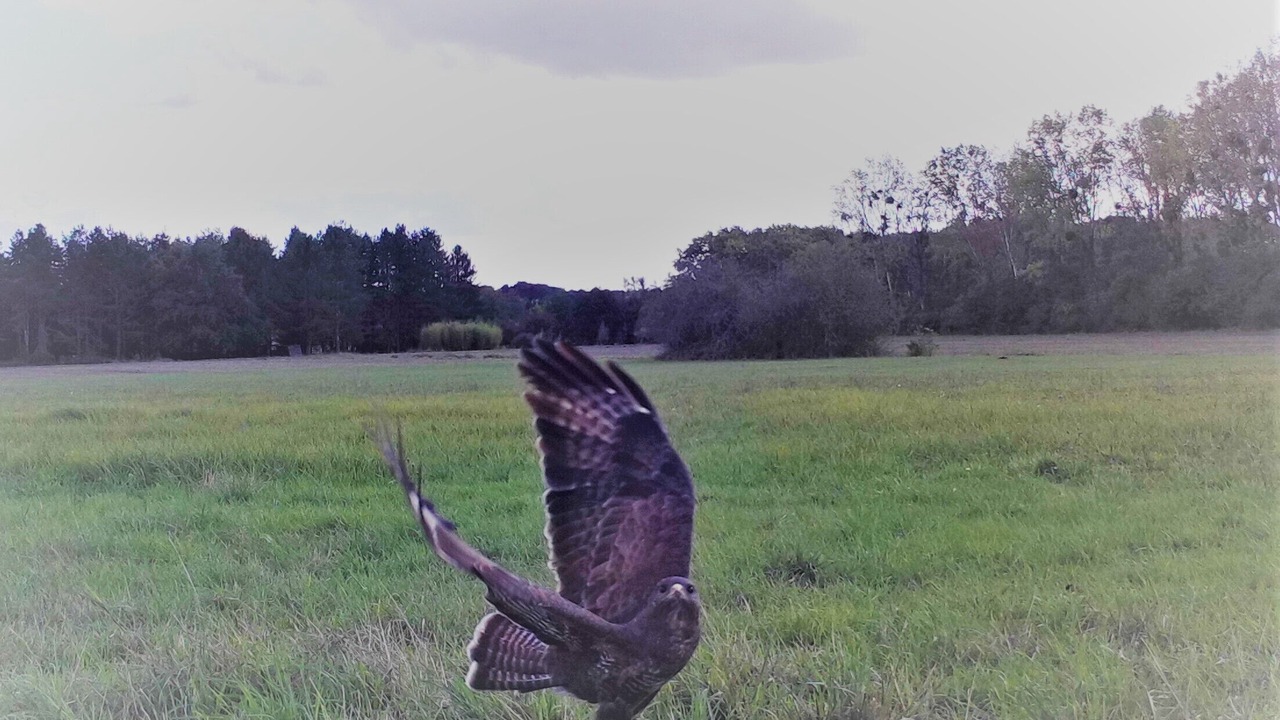 Photo of Outdoor in Ingrannes