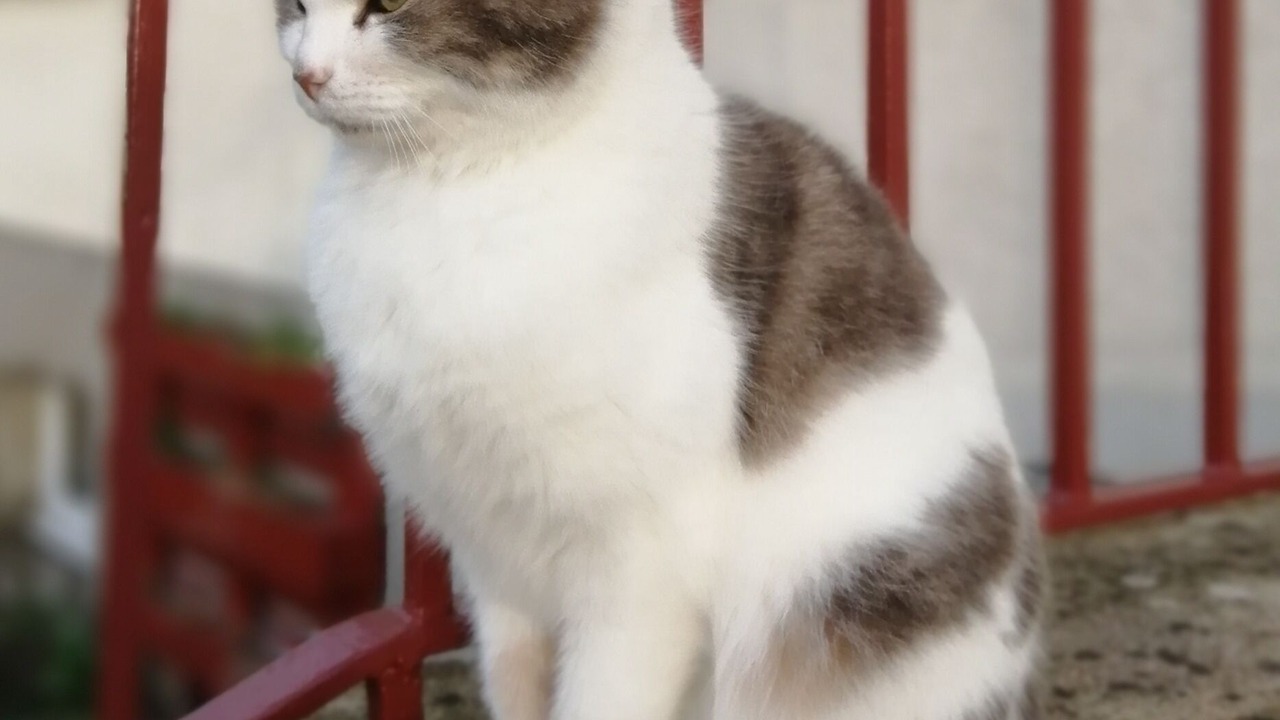 Photo of Others in Ingrannes