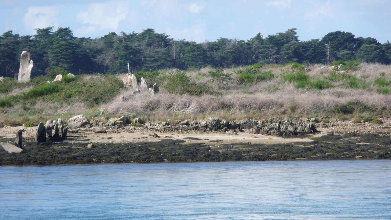 Photo of Others in Lanester