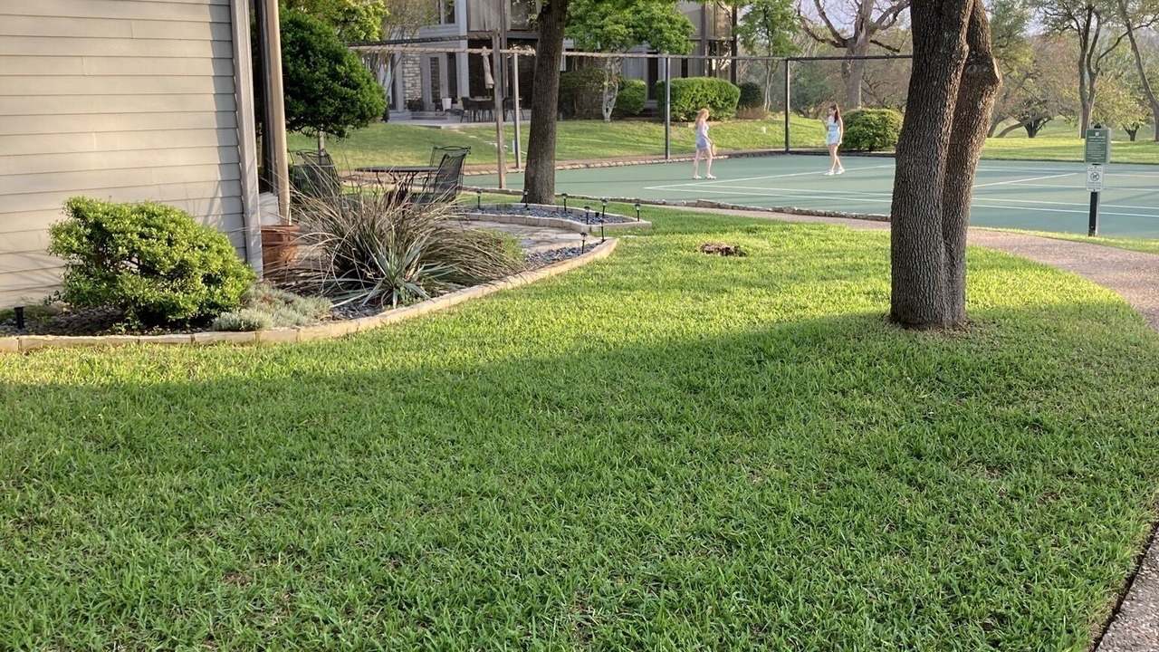Photo of Others in Lakeway