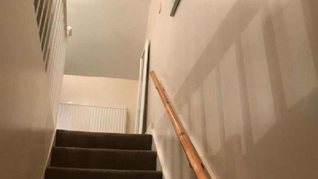 Photo of Others in Chatham