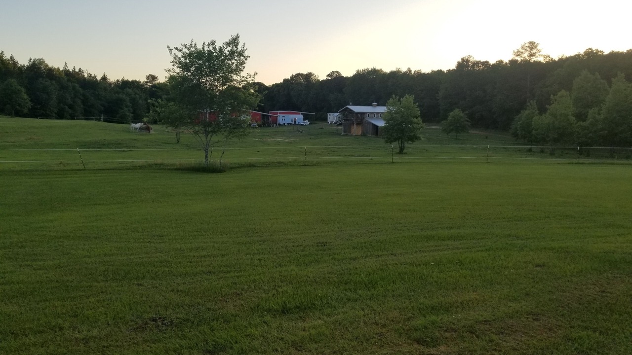 Photo of Outdoor in Georgia Coast