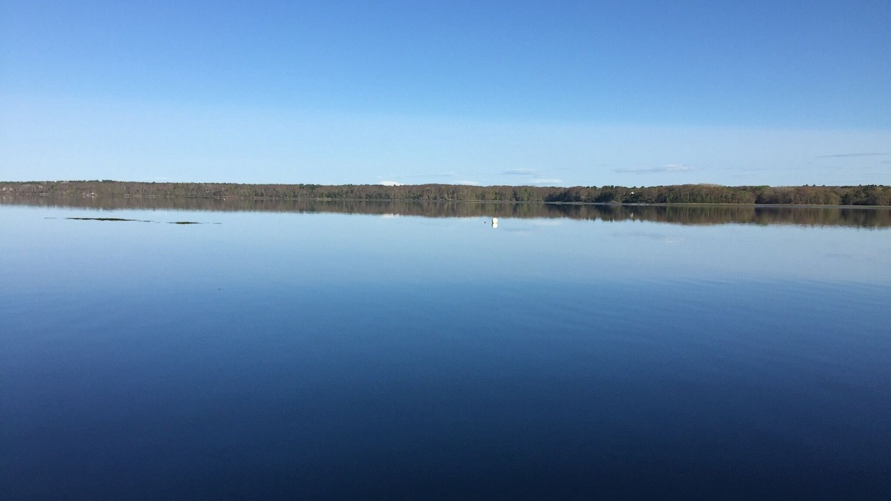 Photo of Others in Brunswick