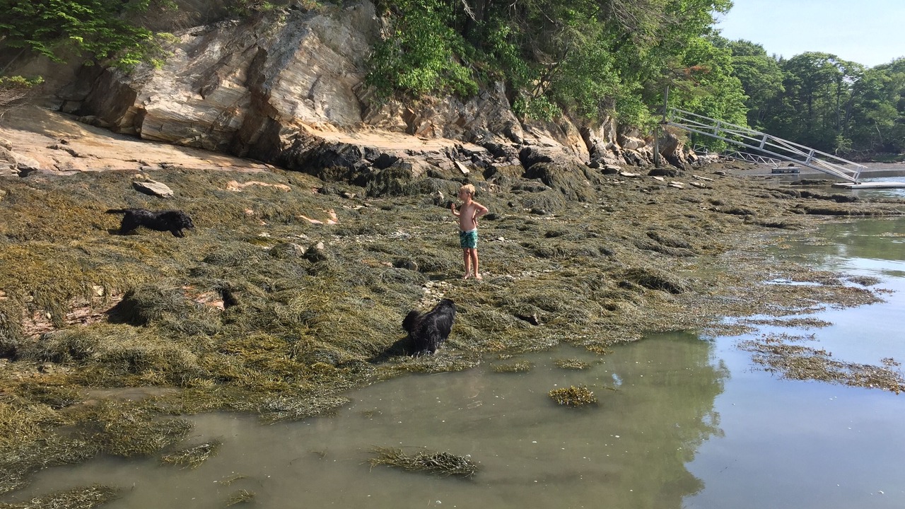 Photo of Others in Brunswick