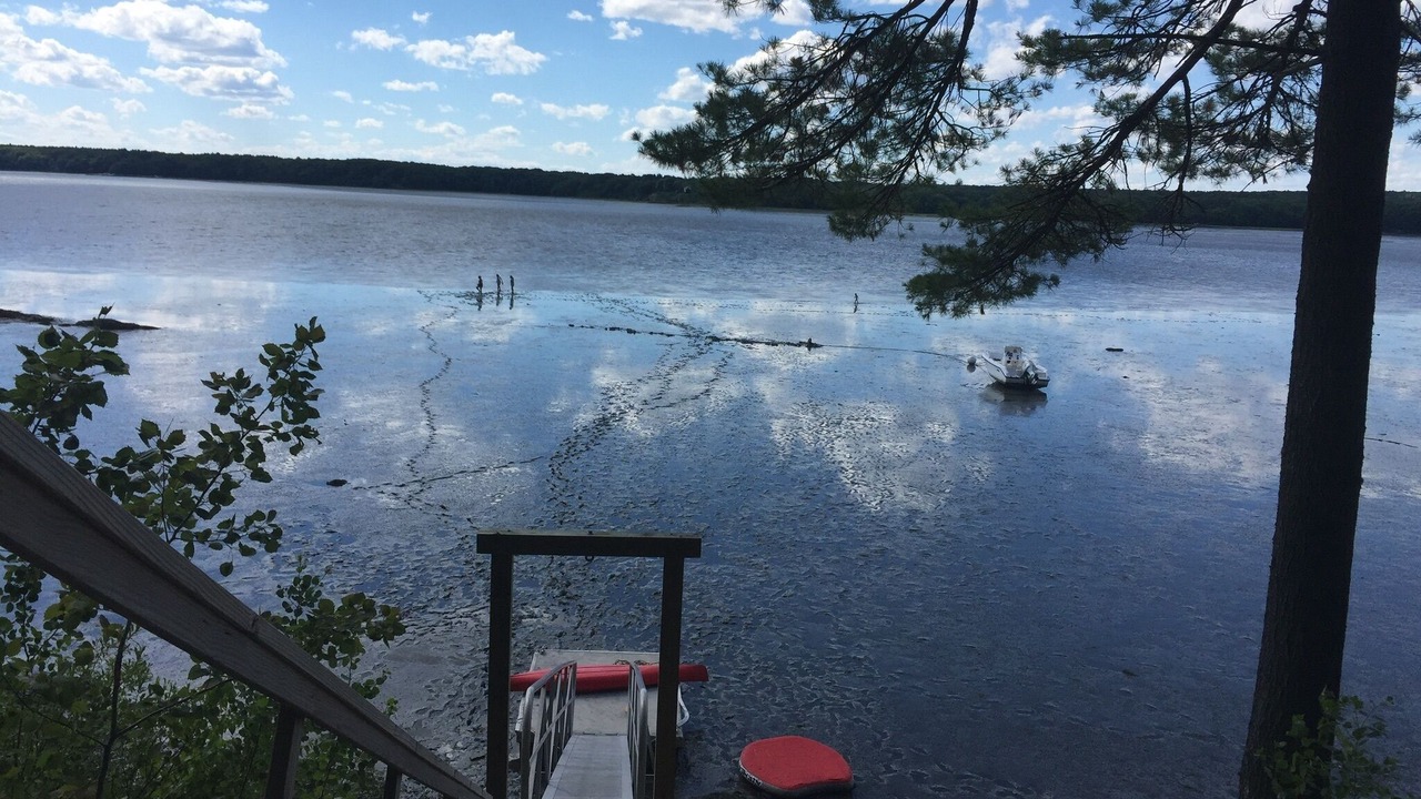 Photo of Others in Brunswick