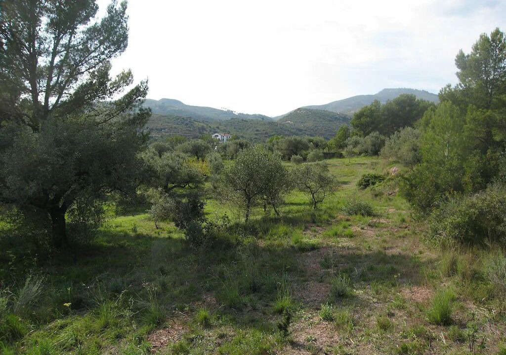 Photo of Outdoor in Alcover