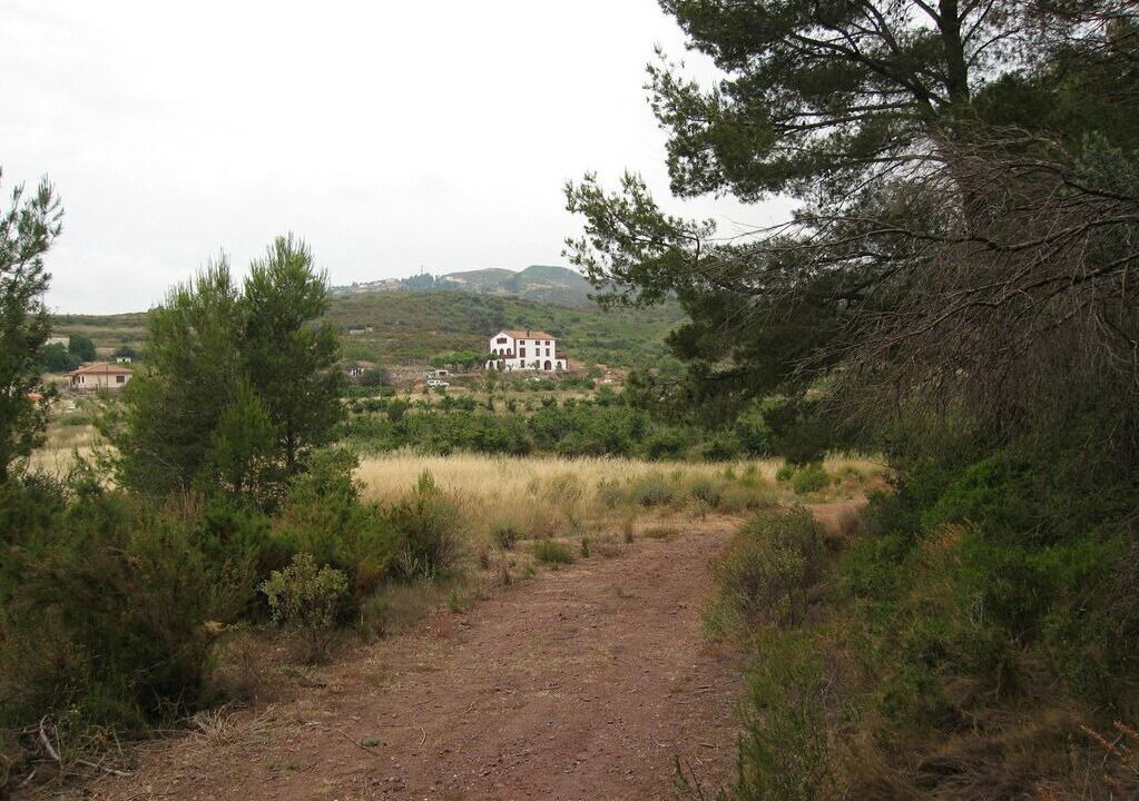Photo of Outdoor in Alcover