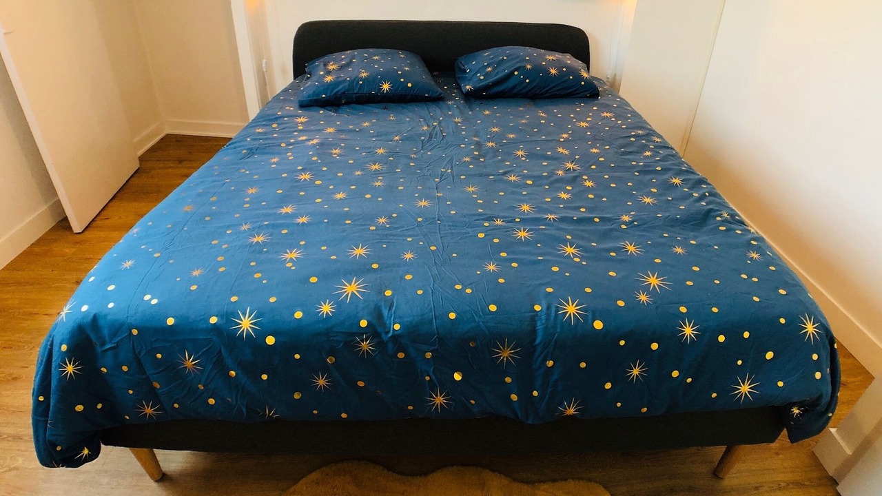 Photo of Bedroom in Nantes Sud