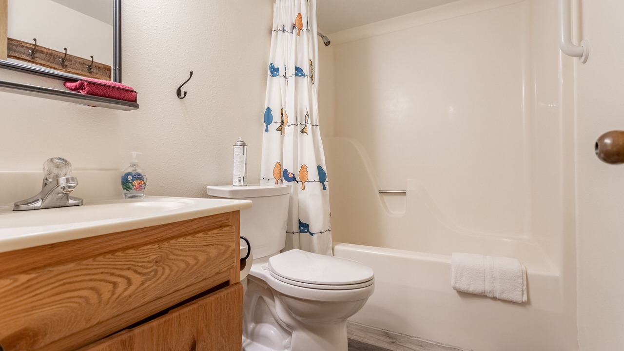 Photo of Bathroom in Shell Knob
