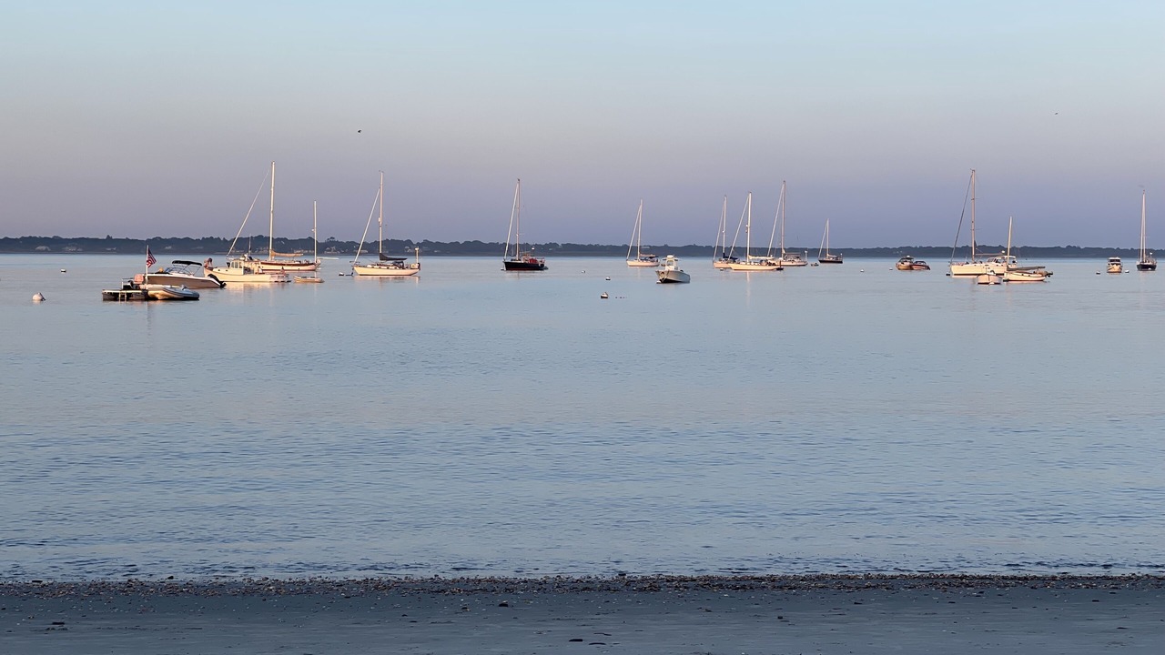 Photo of Others in Newport East