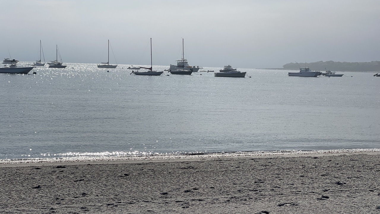Photo of Others in Newport East