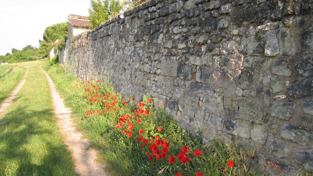 Photo of Others in Lerne