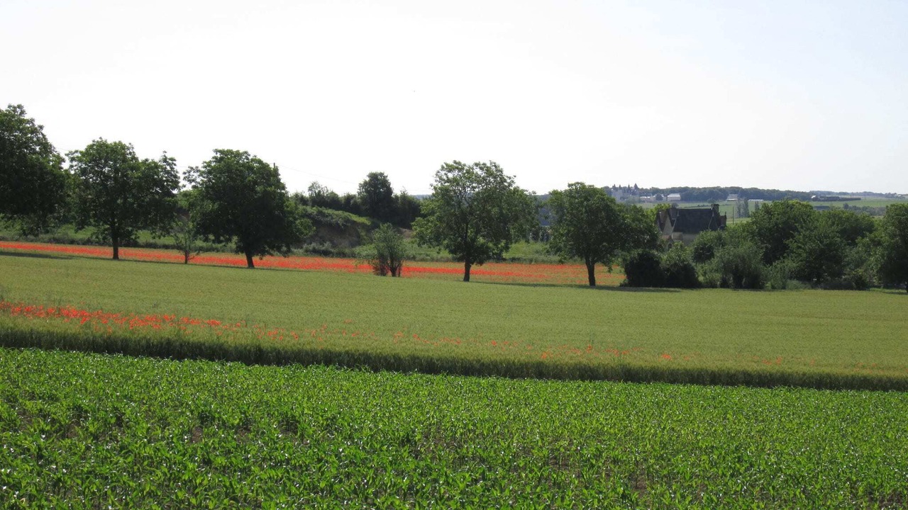 Photo of Others in Lerne