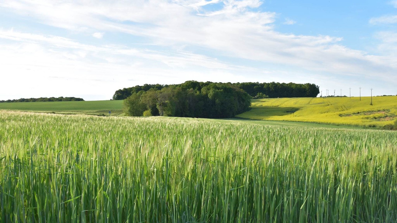 Photo of Others in Saint-Maurice-sur-Aveyron