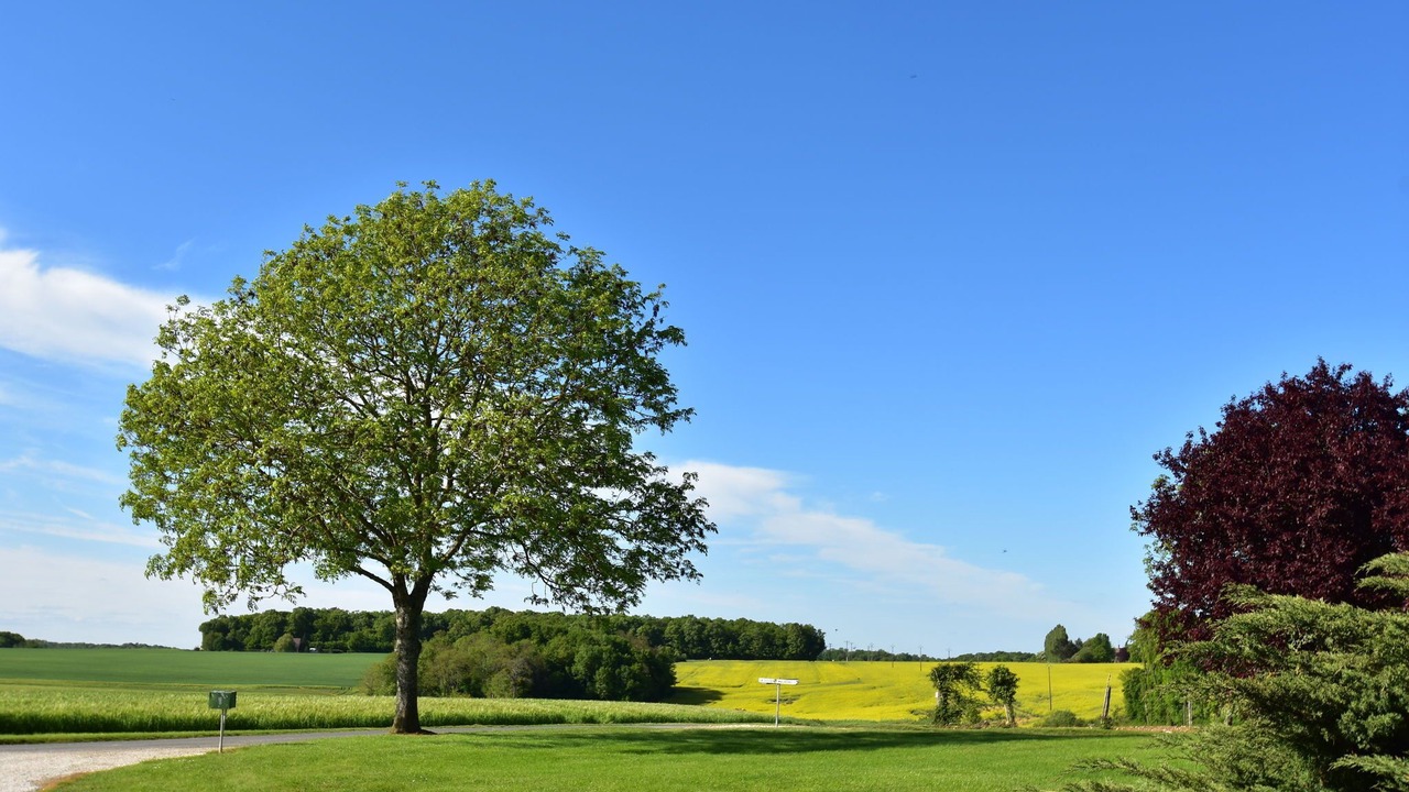 Photo of Others in Saint-Maurice-sur-Aveyron