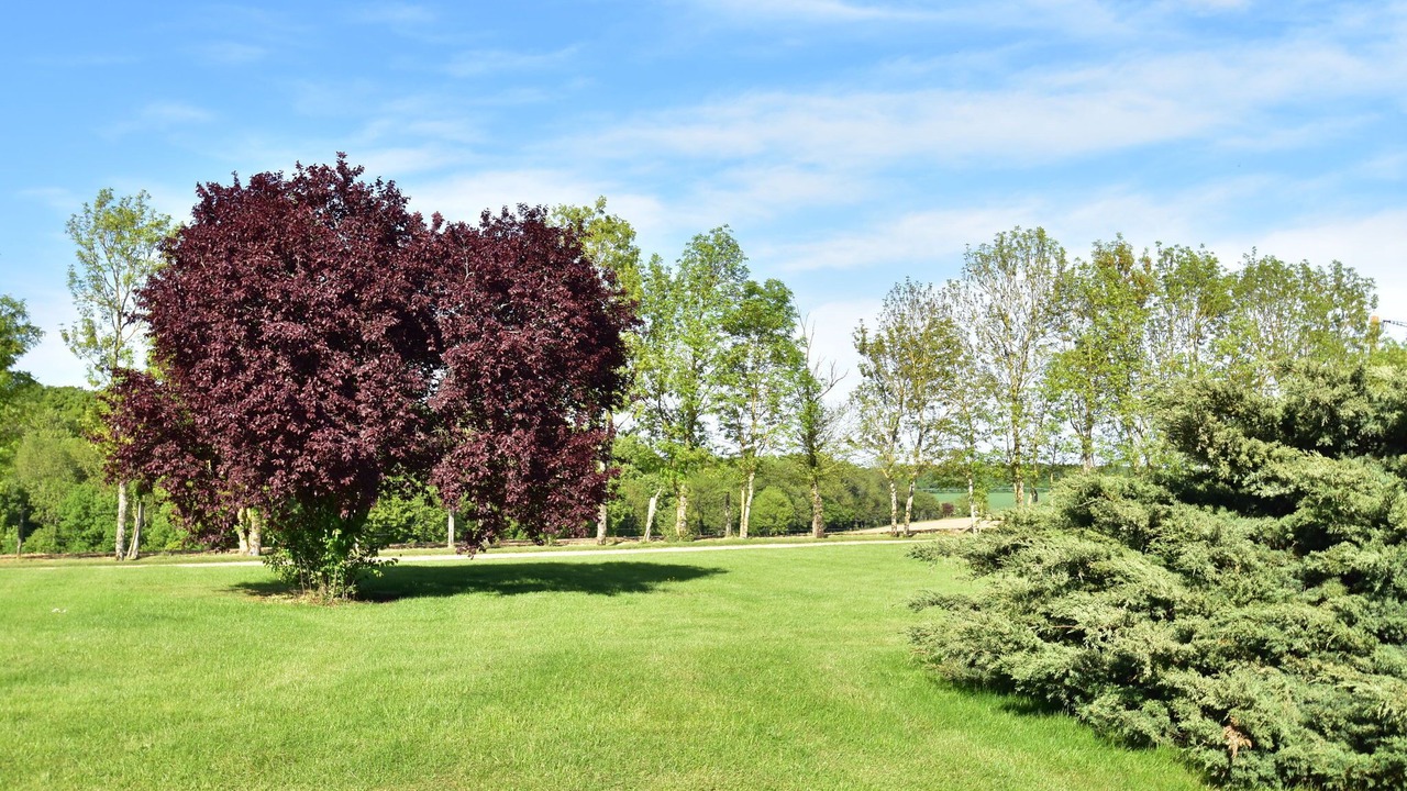 Photo of Outdoor in Saint-Maurice-sur-Aveyron