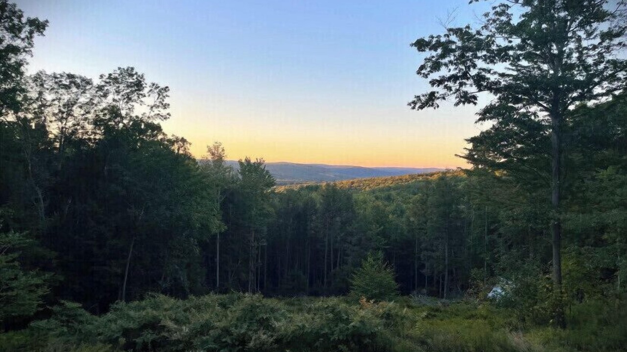 Photo of Outdoor in Ouaquaga