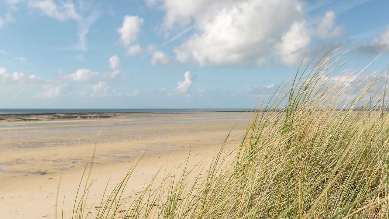 Photo of Others in Saint-Germain-sur-Ay