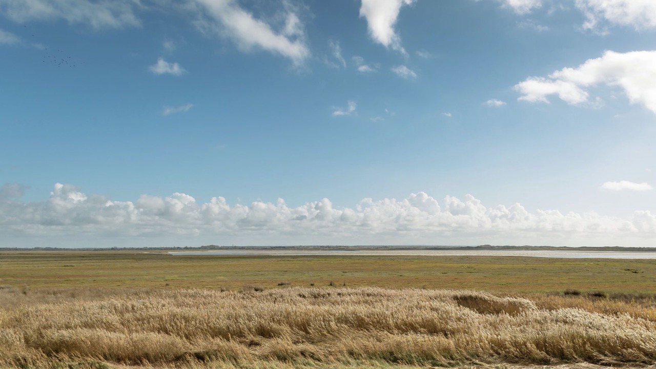 Photo of Others in Saint-Germain-sur-Ay