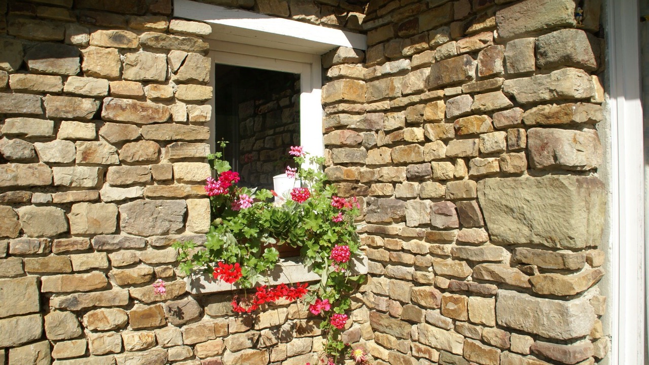 Photo of Others in Torigny-les-Villes