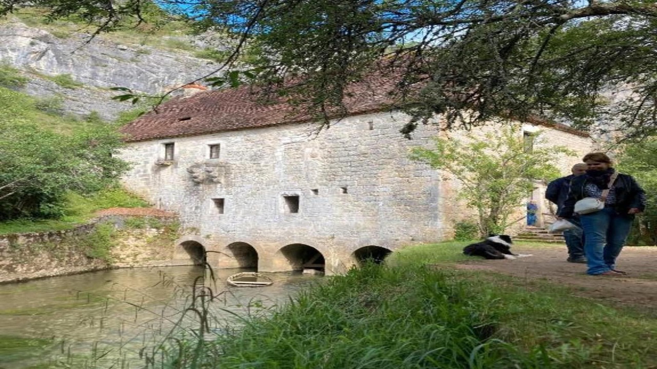 Photo of Others in Torigny-les-Villes