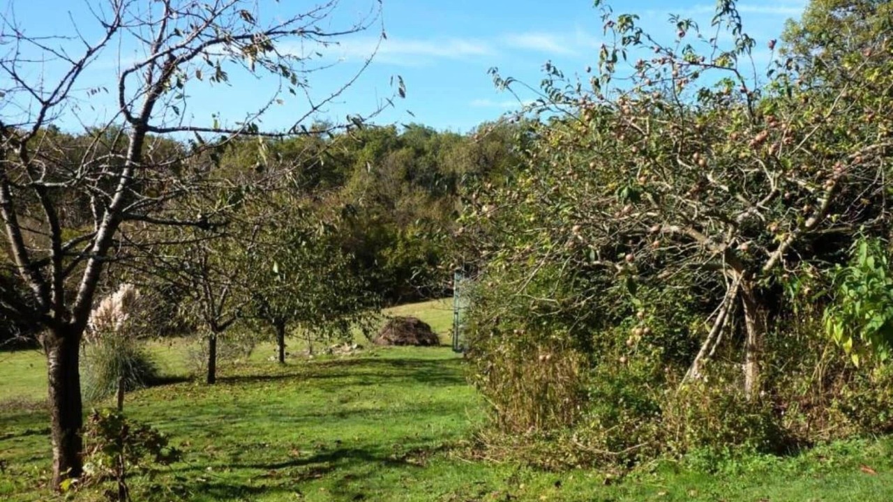 Photo of Others in Torigny-les-Villes