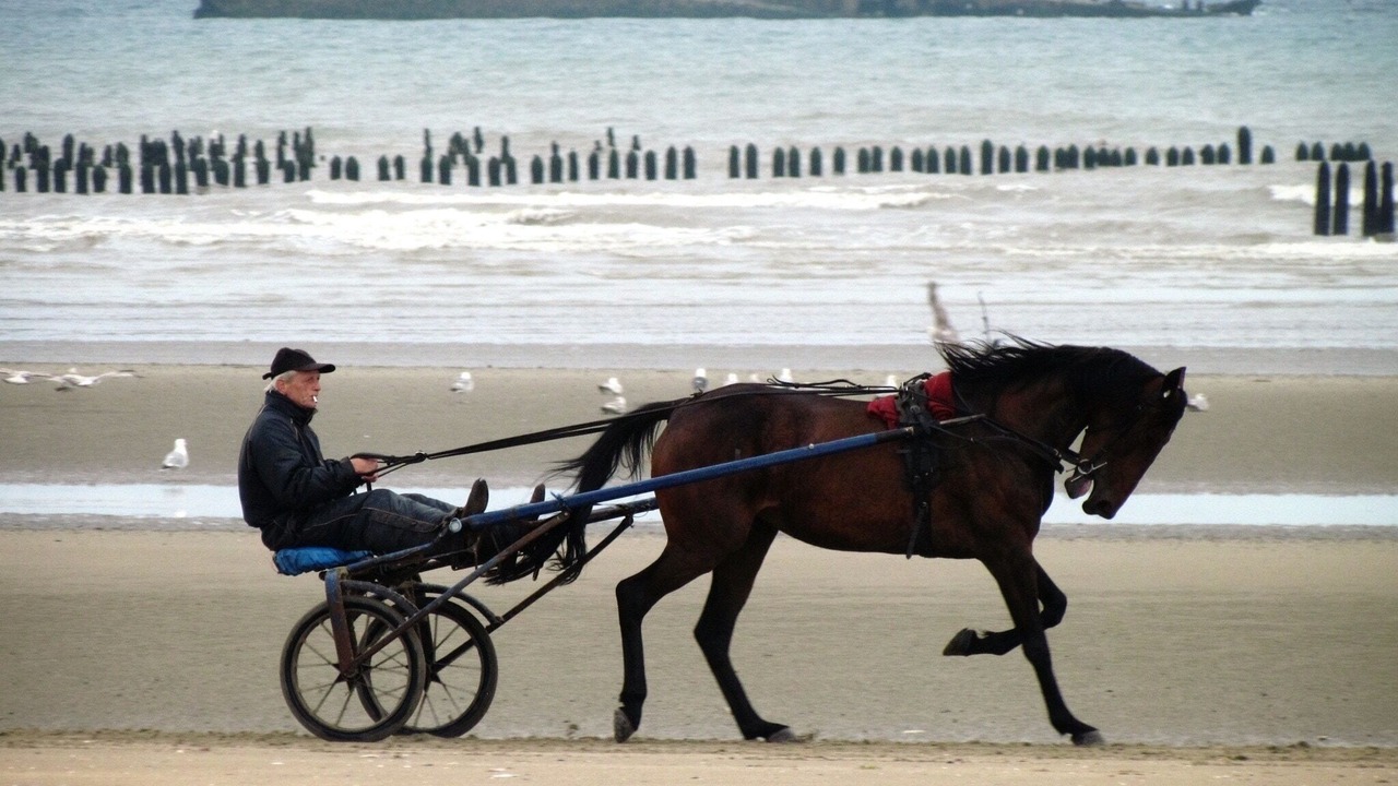 Photo of Others in Fresville