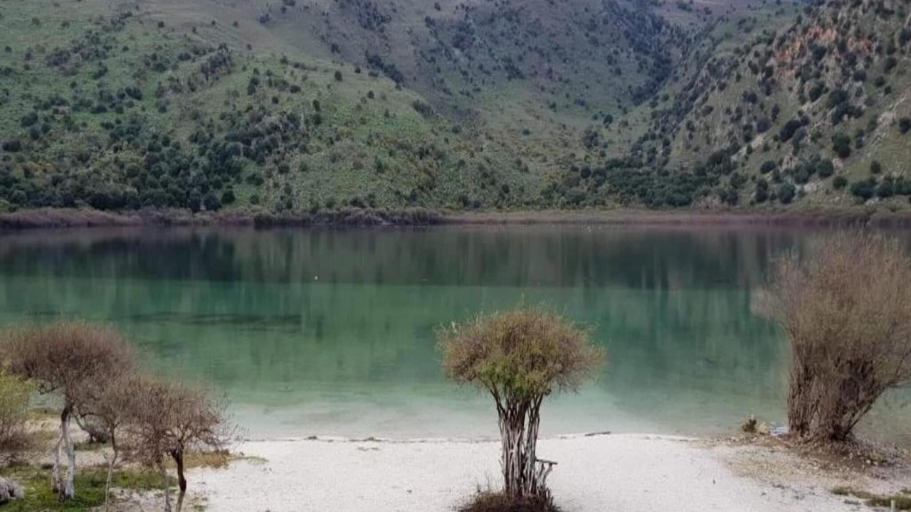 Photo of Others in Fresville