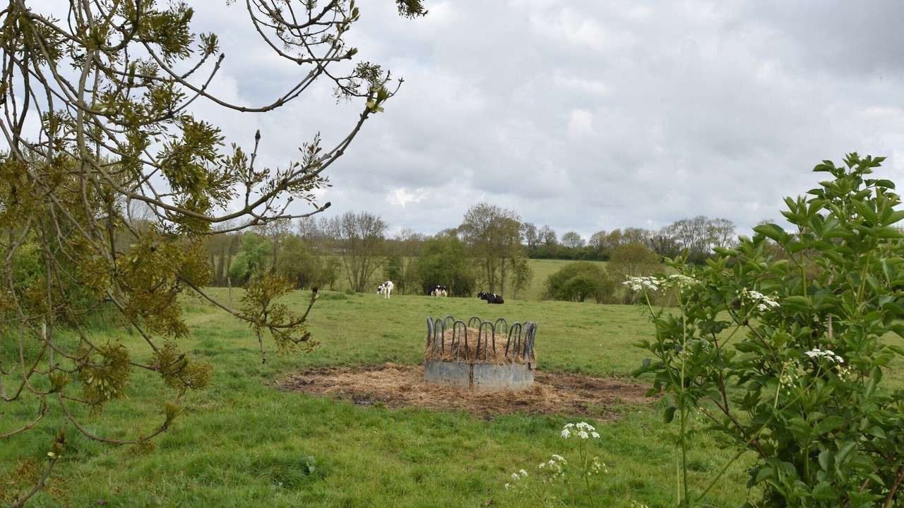 Photo of Others in Fresville