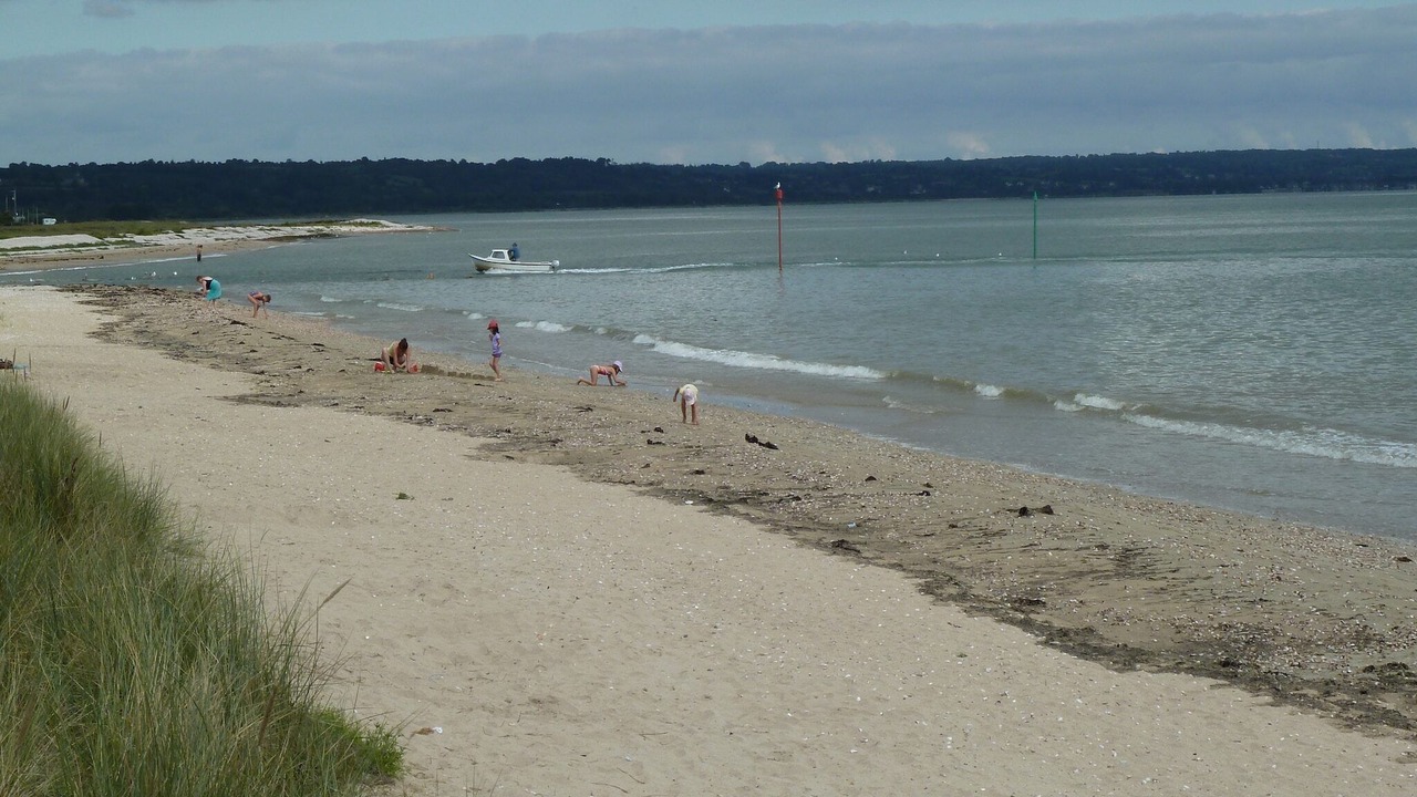 Photo of Others in Ozeville