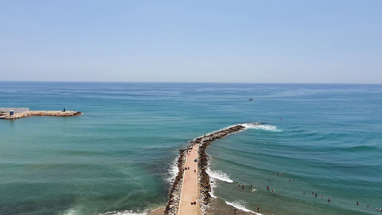 Photo of Others in Marbella Seafront Promenade